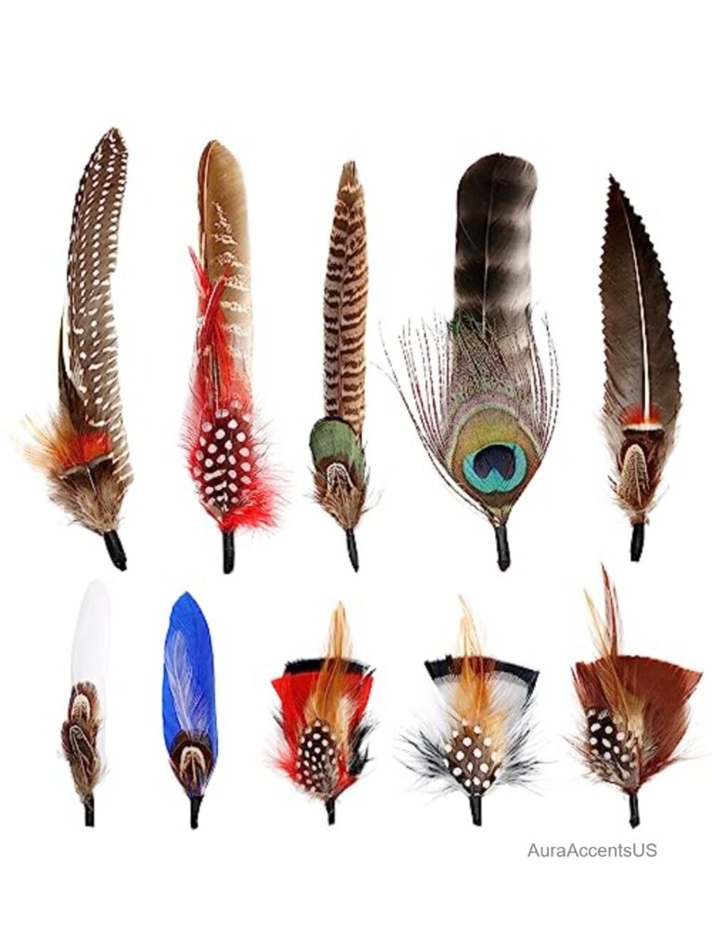 Natural Assorted Feathers for Fedora Hats DIY Craft Western Cowboy Party Hats